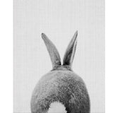 Front or Back Rabbit Canvas