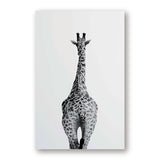 Interesting Zebra Giraffe Canvas Painting