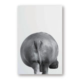 Interesting Zebra Giraffe Canvas Painting