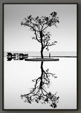 Minimalist Tree Reflection Poster