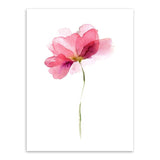 Colorful Flower Canvas