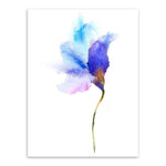 Colorful Flower Canvas